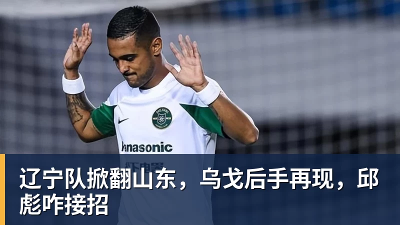 蓉城打平就夺冠！曝韦世豪的狗登上看台TIFO：见识见识你的本事 - 雨燕直播 - 高清流畅的体育直播平台