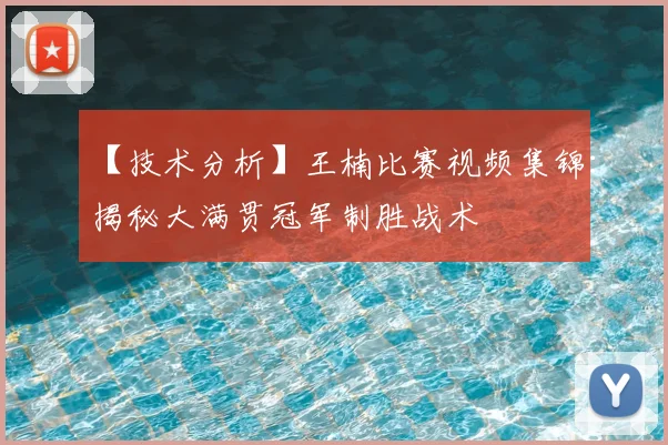 雨燕直播