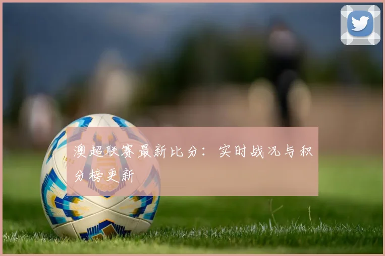 雨燕直播