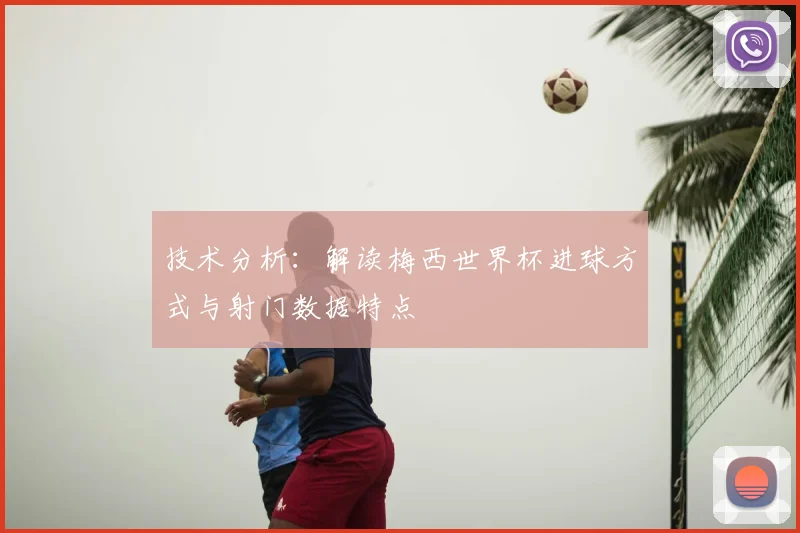 雨燕直播