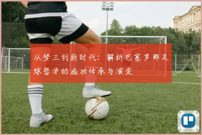 雨燕直播