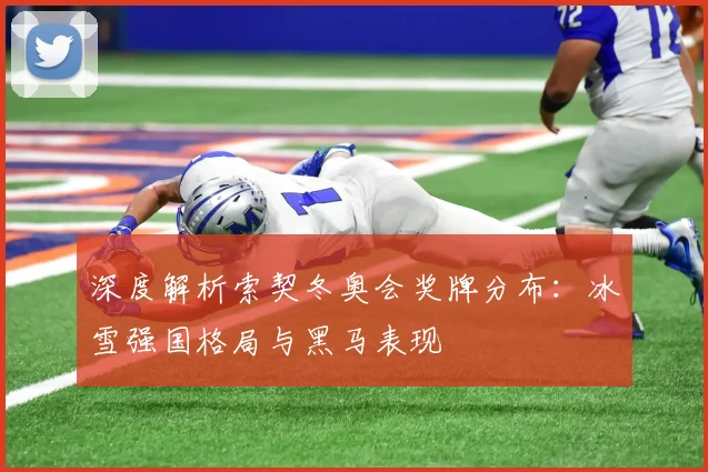 雨燕直播