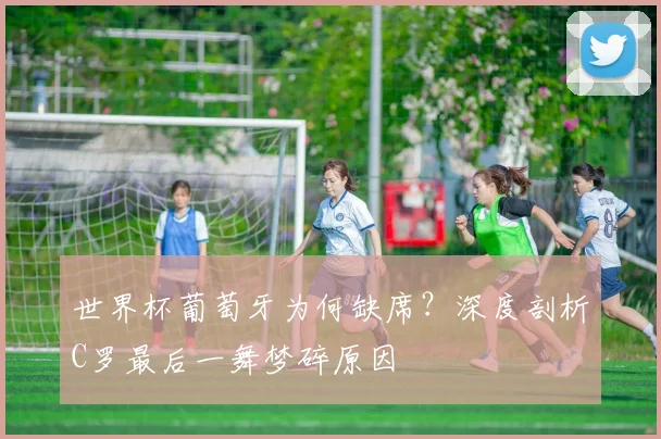 雨燕直播