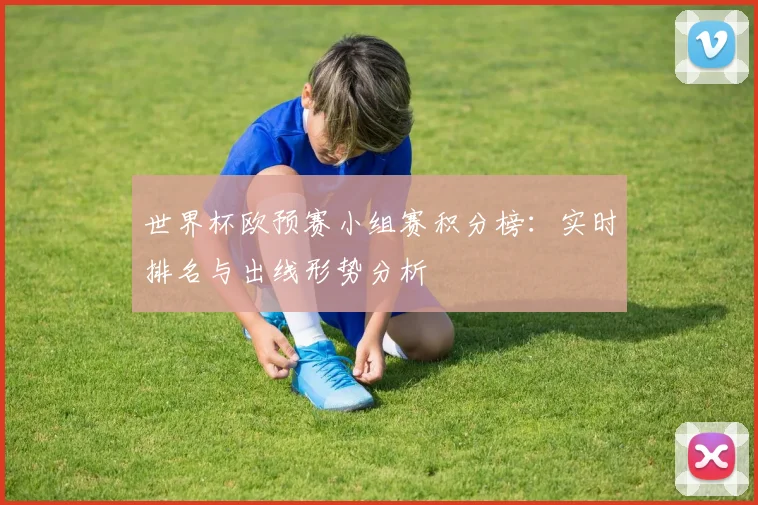 雨燕直播