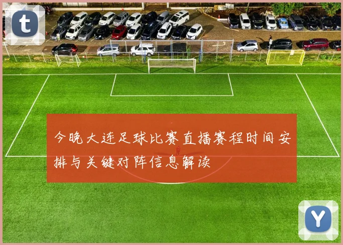 雨燕直播